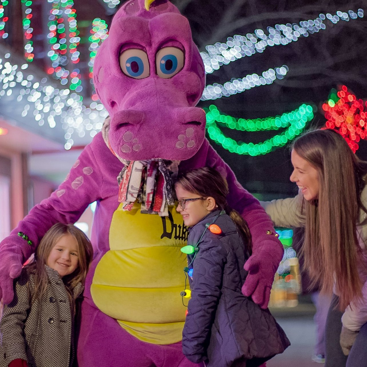 Dutch Winter Wonderland: Entry Ticket - Photo 1 of 8